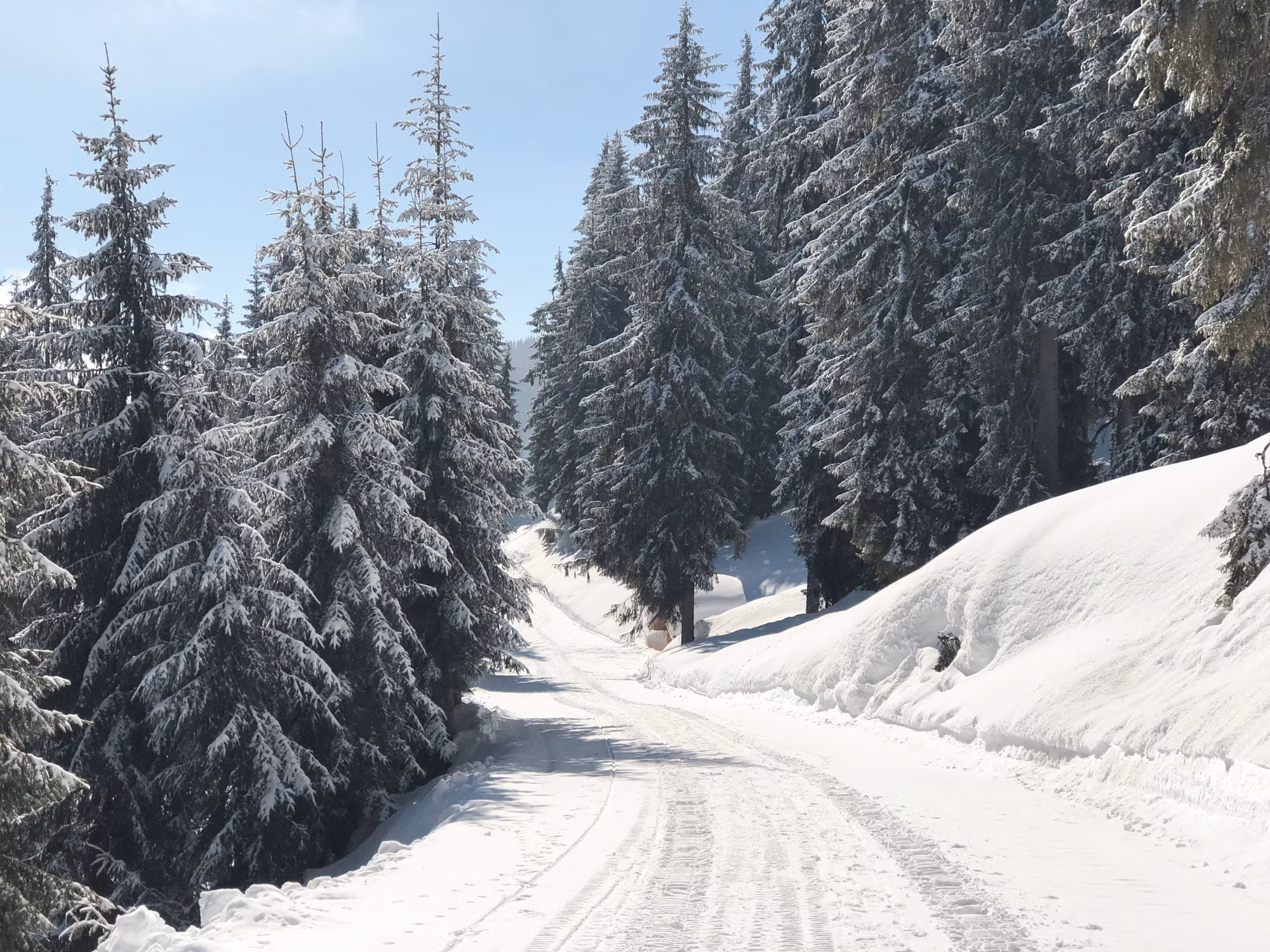 Exploring Snowboarding Styles: A Comprehensive Guide for Enthusiasts